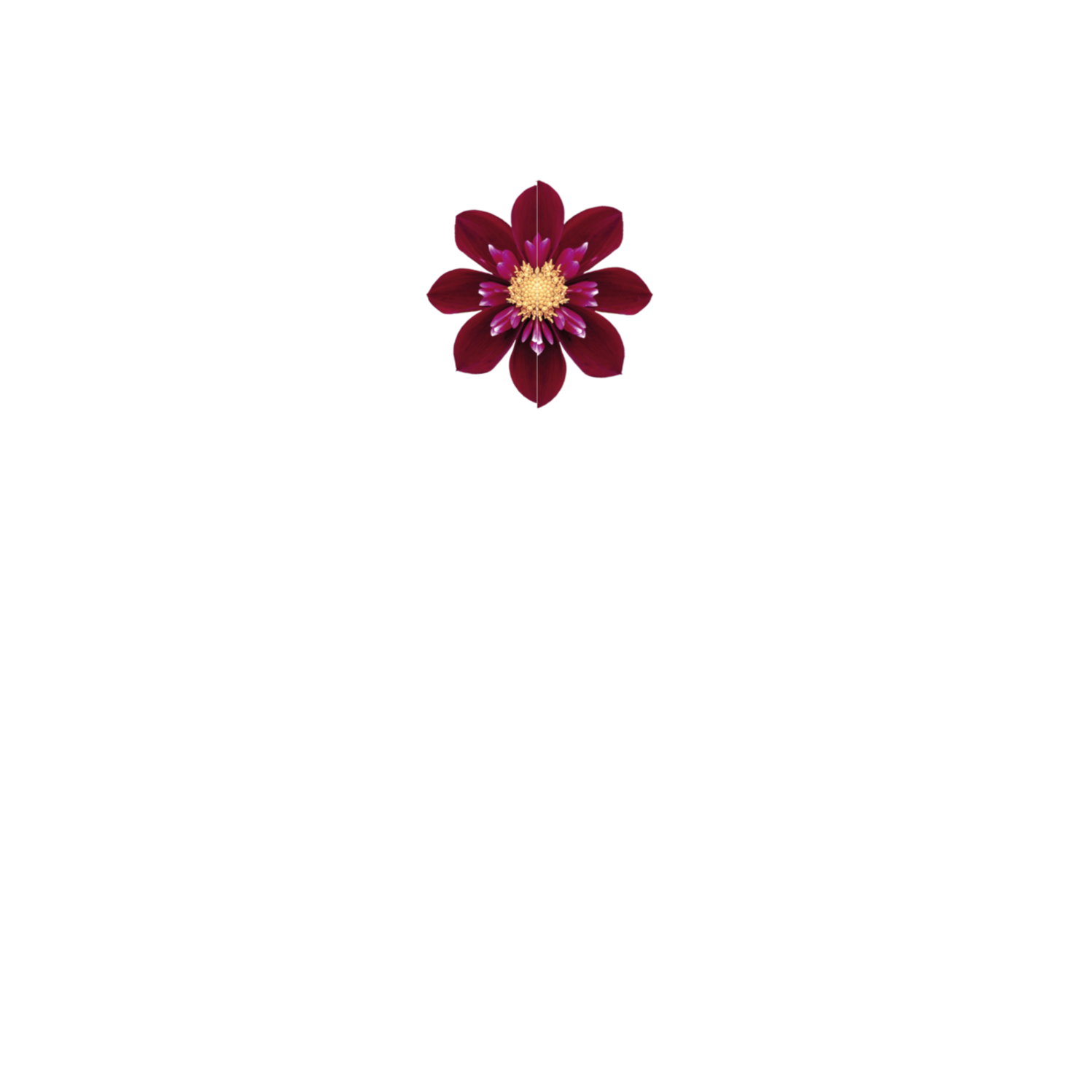 Hotel Hanoi