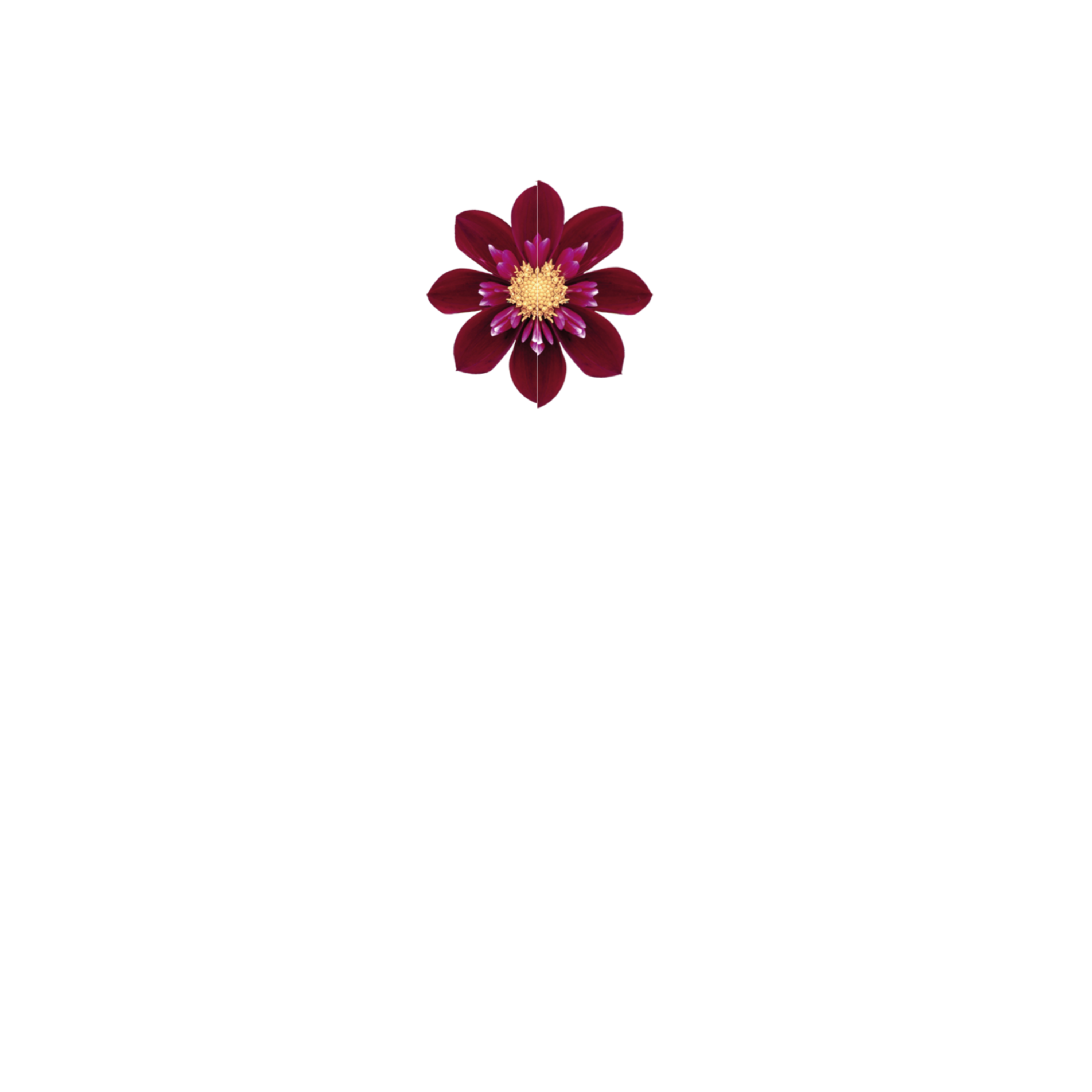 Hotel Hanoi